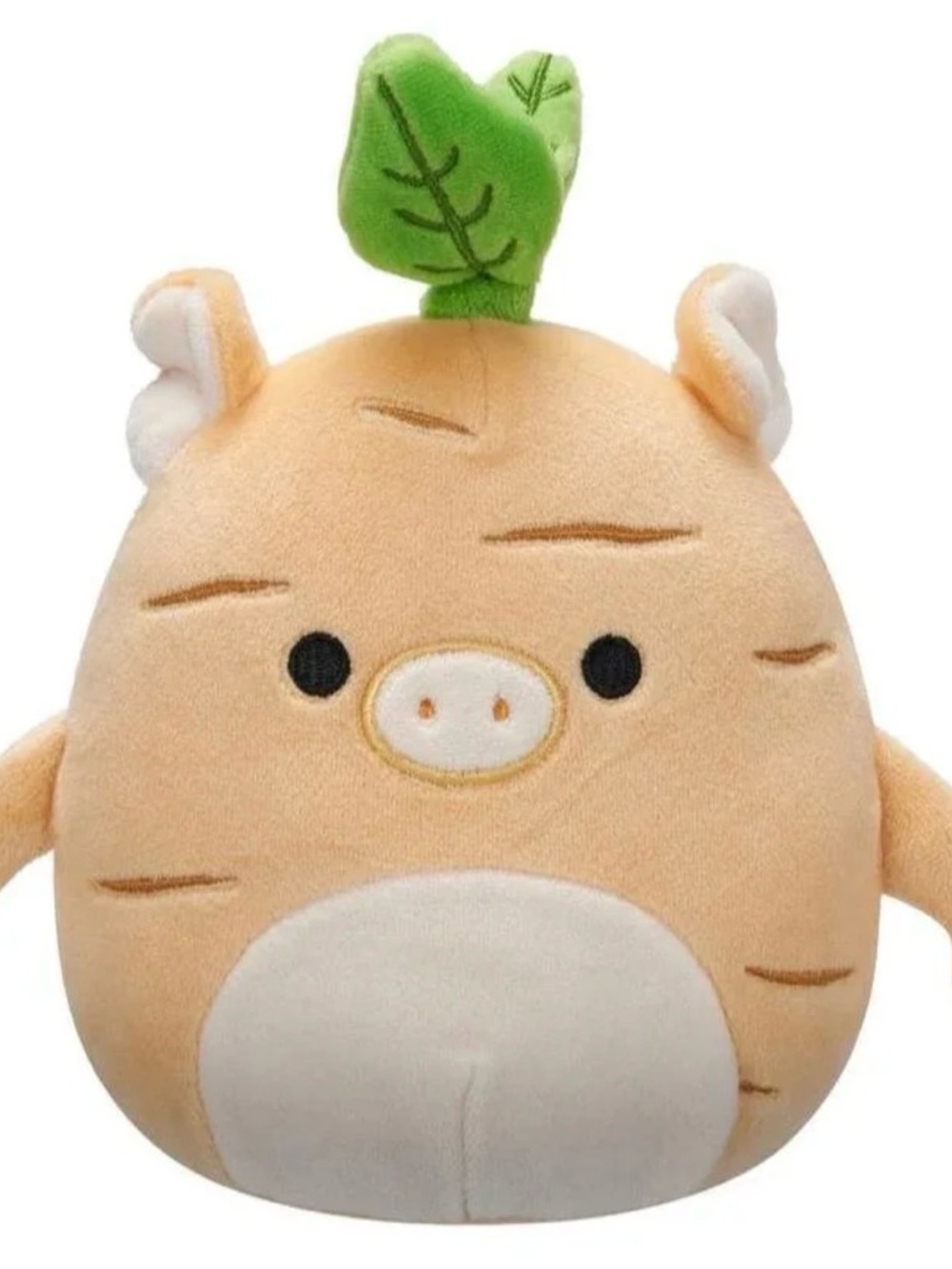 Pete the turnup squishmallow - Picture 2 of 5